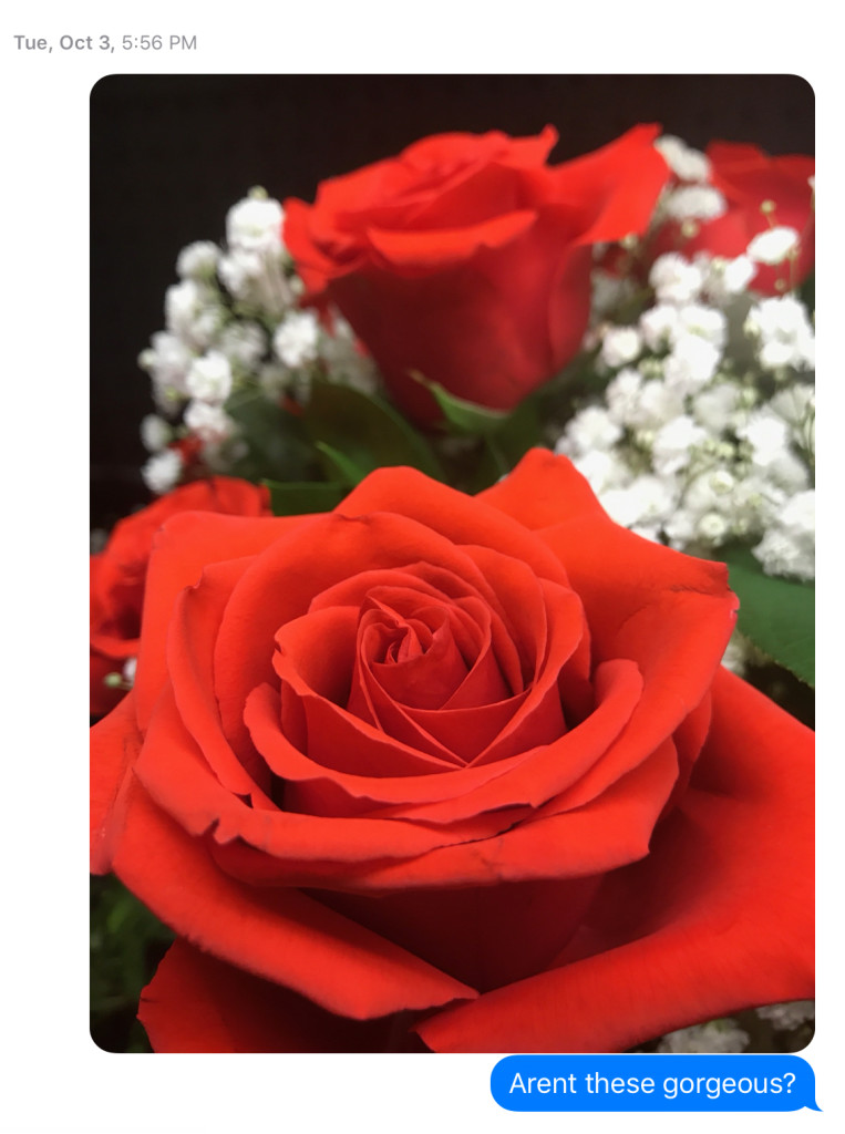 A02443A9-E457-4DDA-A524-6F2CB2150809