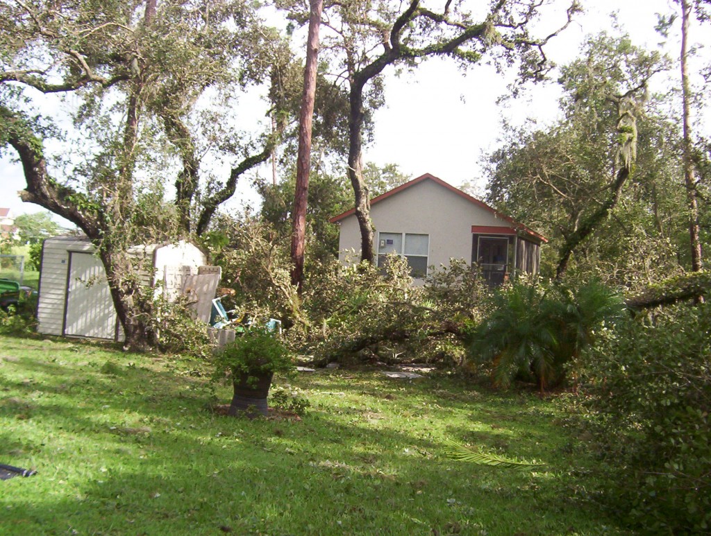 Guest house access blocked & smashed shed