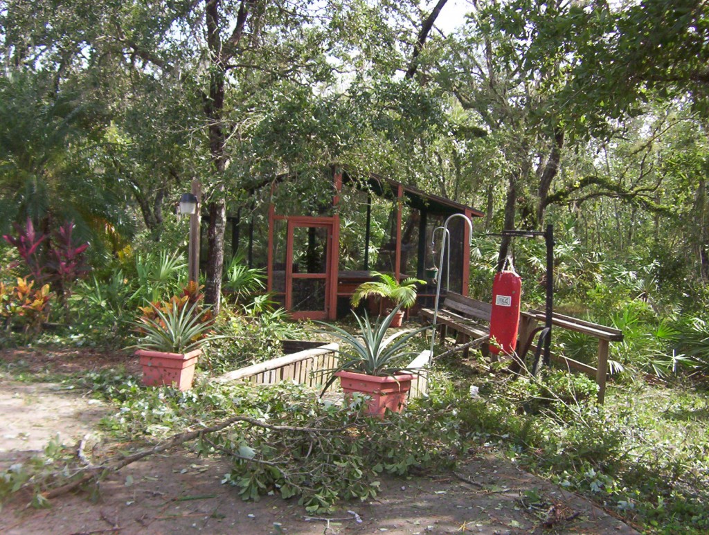 Hurricane Charlie damage 8-04 014
